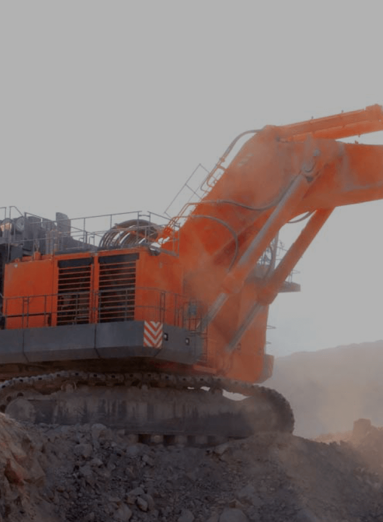 Mining Excavators EX 3600-6