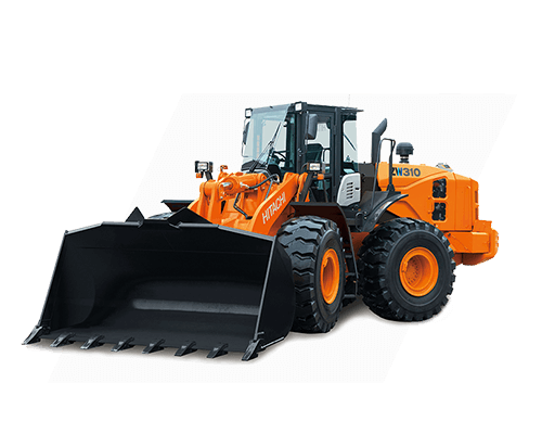 Wheel Loader ZW 310-5A 