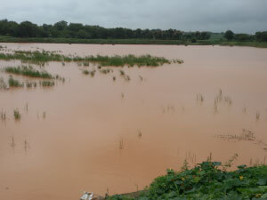 Alagodi Tank de-silting