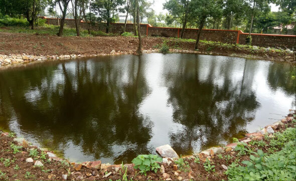 Tata Hitachi - Biodiversity Project