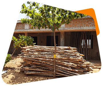 Literacy Initiatives - construction and extension of Schools